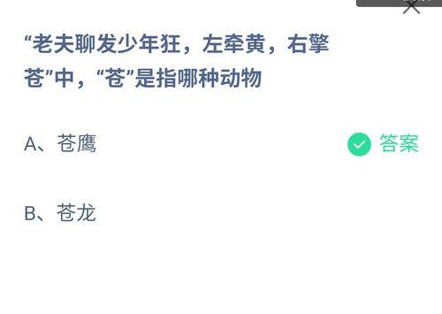 两周年快乐，我们一起畅游游戏世界（一起回顾成长的路程，铭记欢笑与泪水）