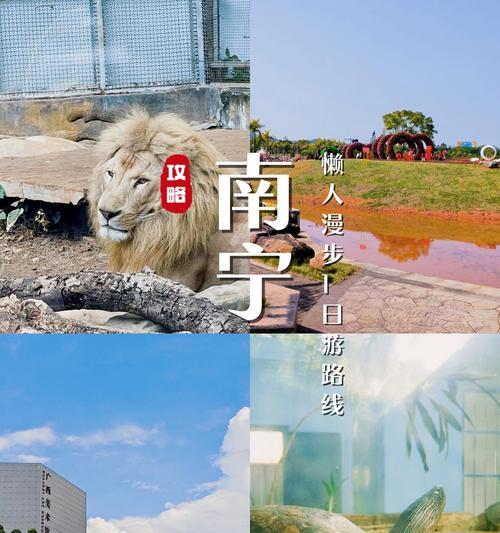 南宁动物园小游戏攻略（畅游南宁动物园，尽情探寻动物乐园的秘密）