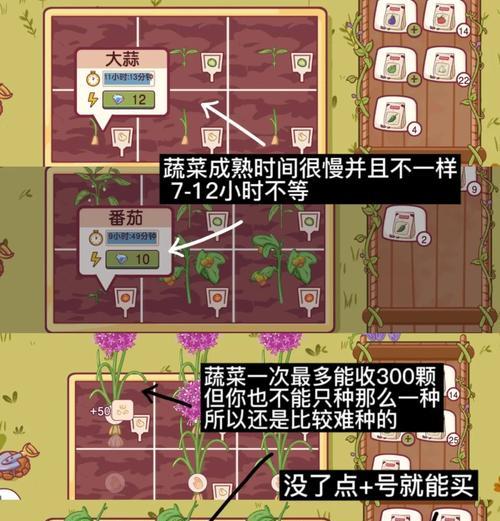 《以果味披萨》游戏攻略详解（探寻独特口感的秘密，成为果味披萨之王！）