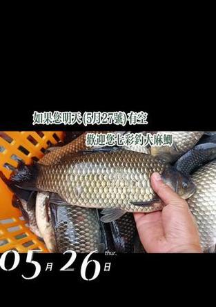 钓鱼封神榜游戏攻略（揭秘钓鱼封神榜游戏的最强攻略，让你成为无敌的钓鱼大师！）