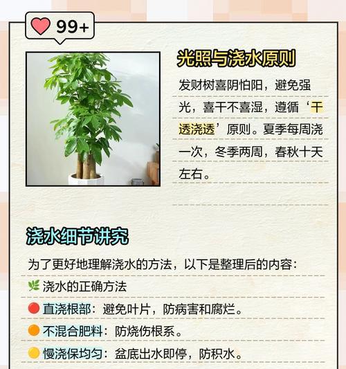 浇水游戏攻略大全（从零基础到技巧高手，掌握浇水游戏的窍门与策略！）